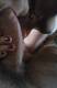 Private Photo of sex_69