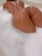 cioccolato fondente